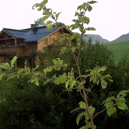 Haus Pendl