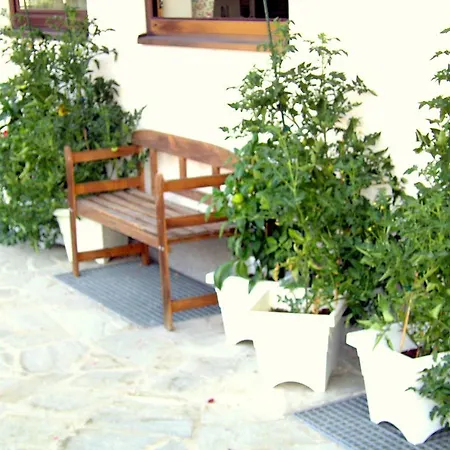 Πανσιόν Haus Pendl Abtenau