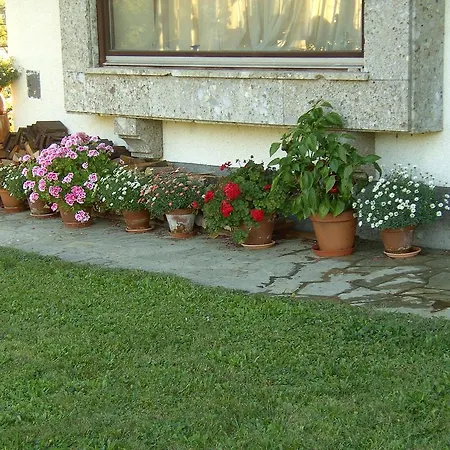 Πανσιόν Haus Pendl 2*